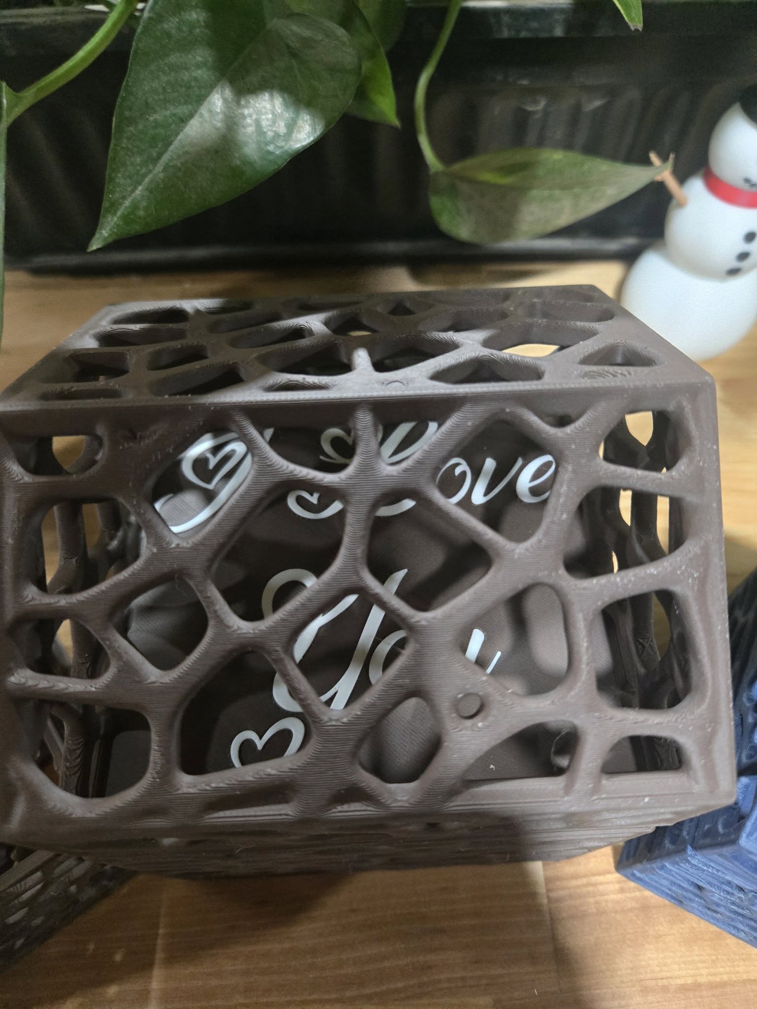 Voronoi Box